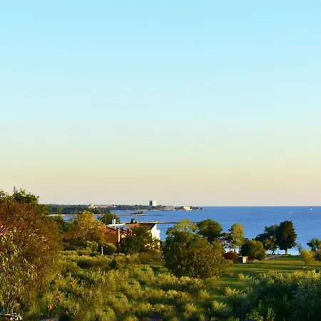 Apartamento Shared Gardened With Bbq And Sea View *