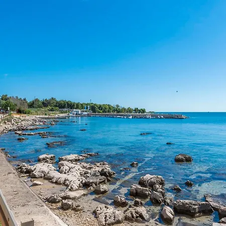 Apartamento Shared Gardened With Bbq And Sea View Zambratija (Istria)